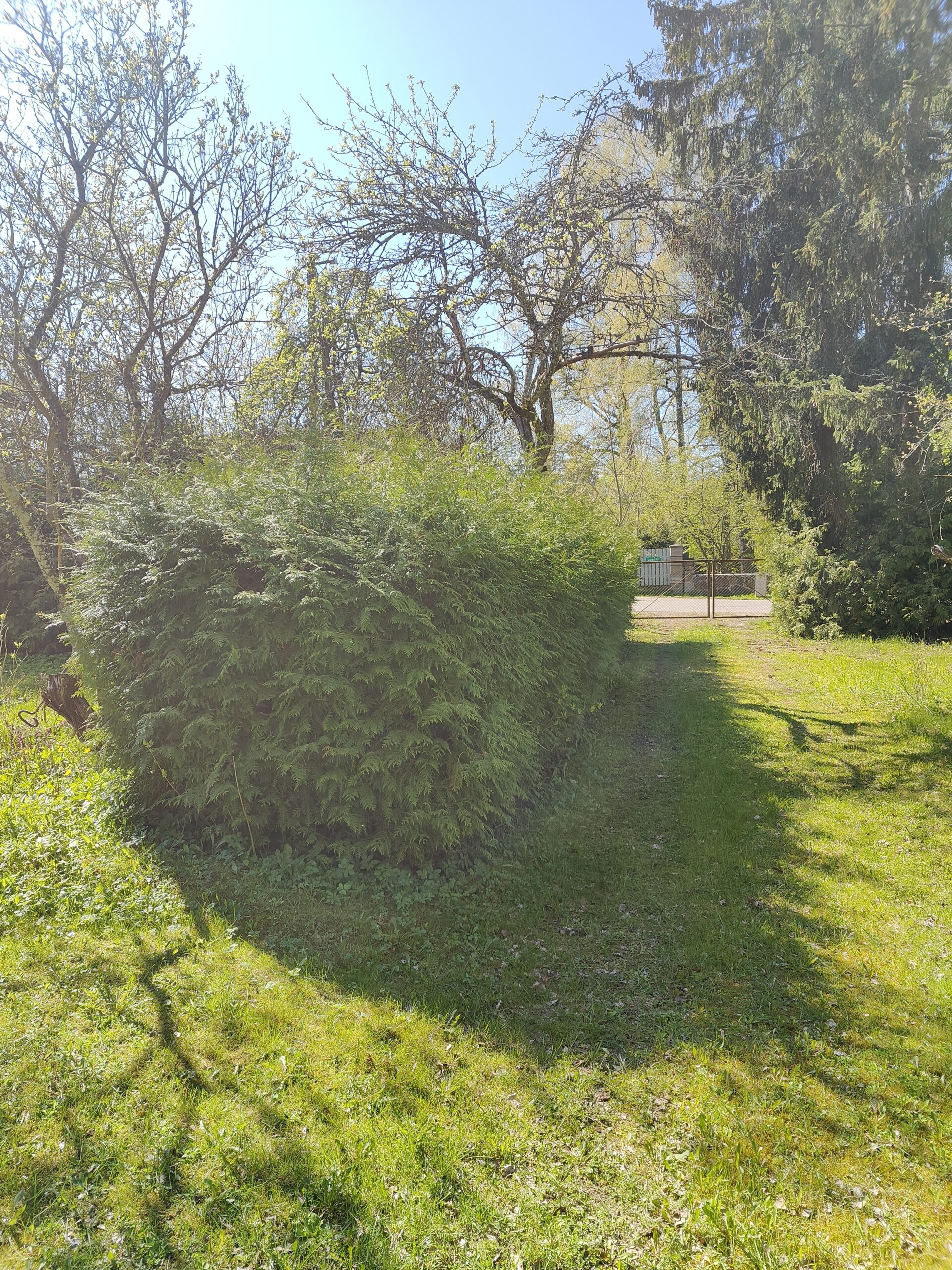 Before image