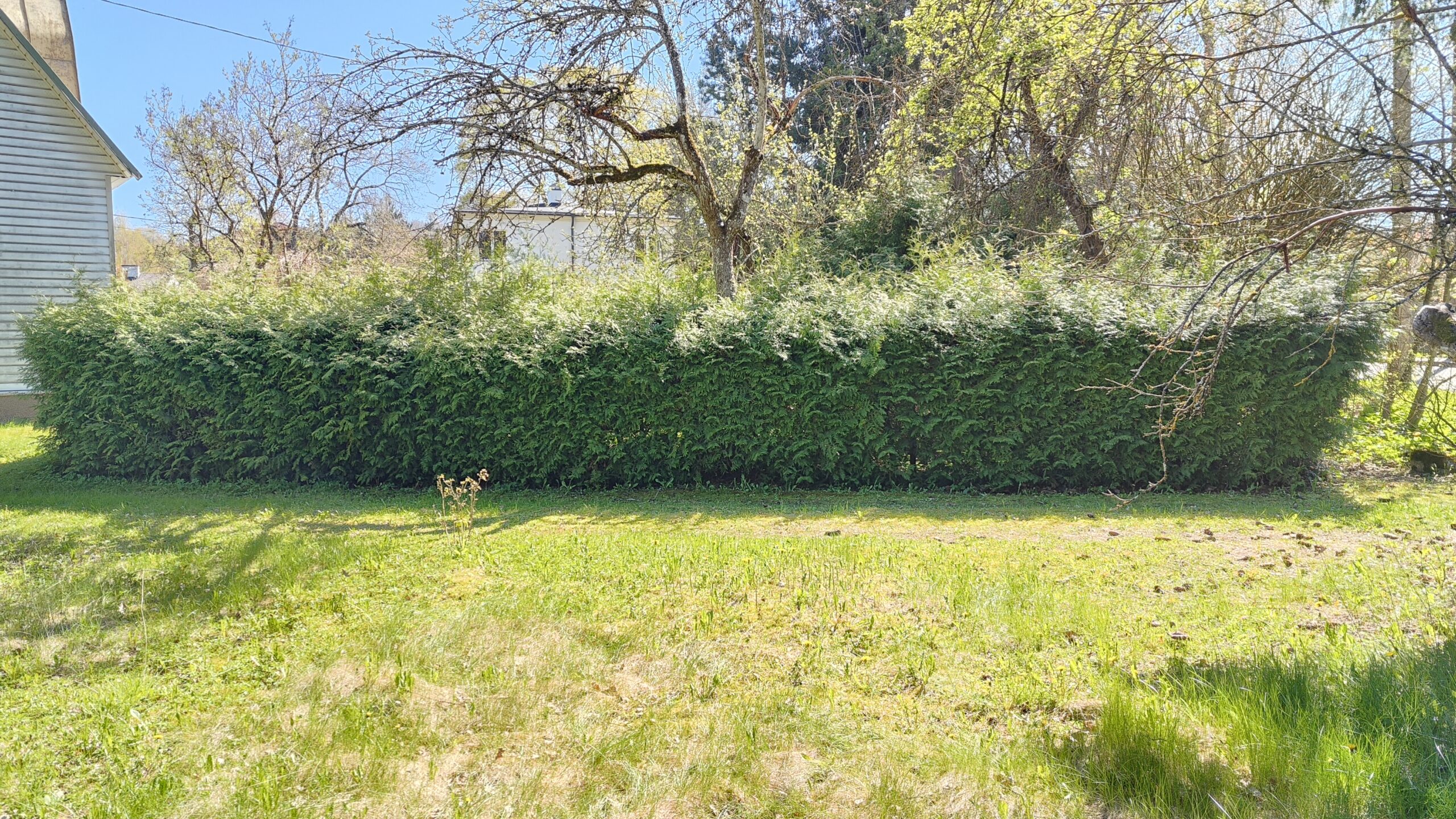 Before image