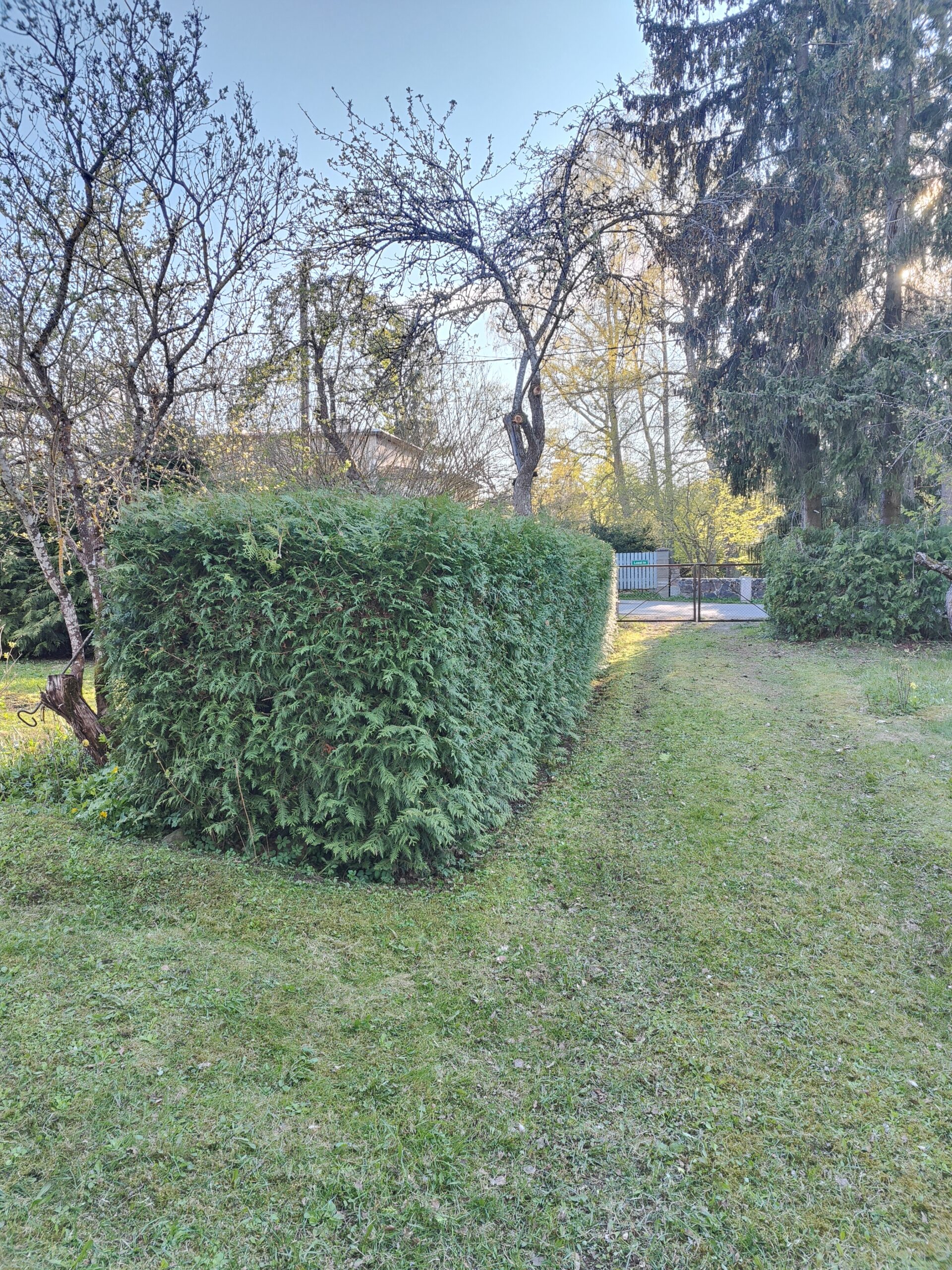 After image