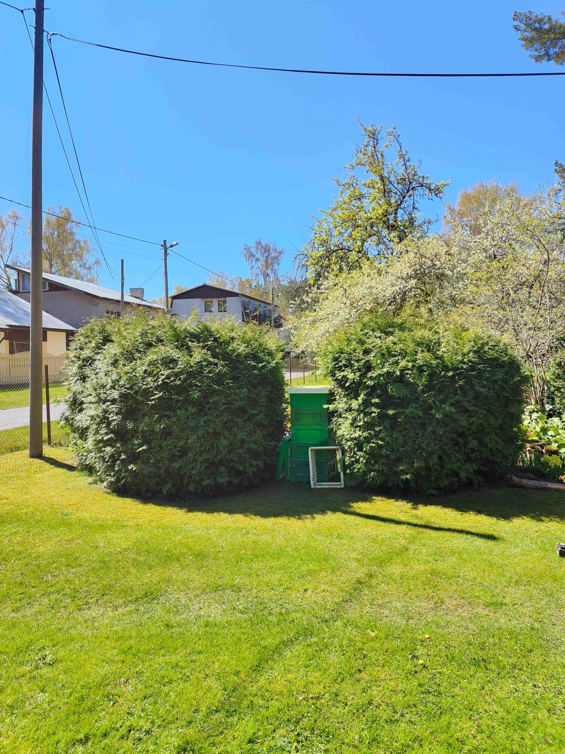 Before image