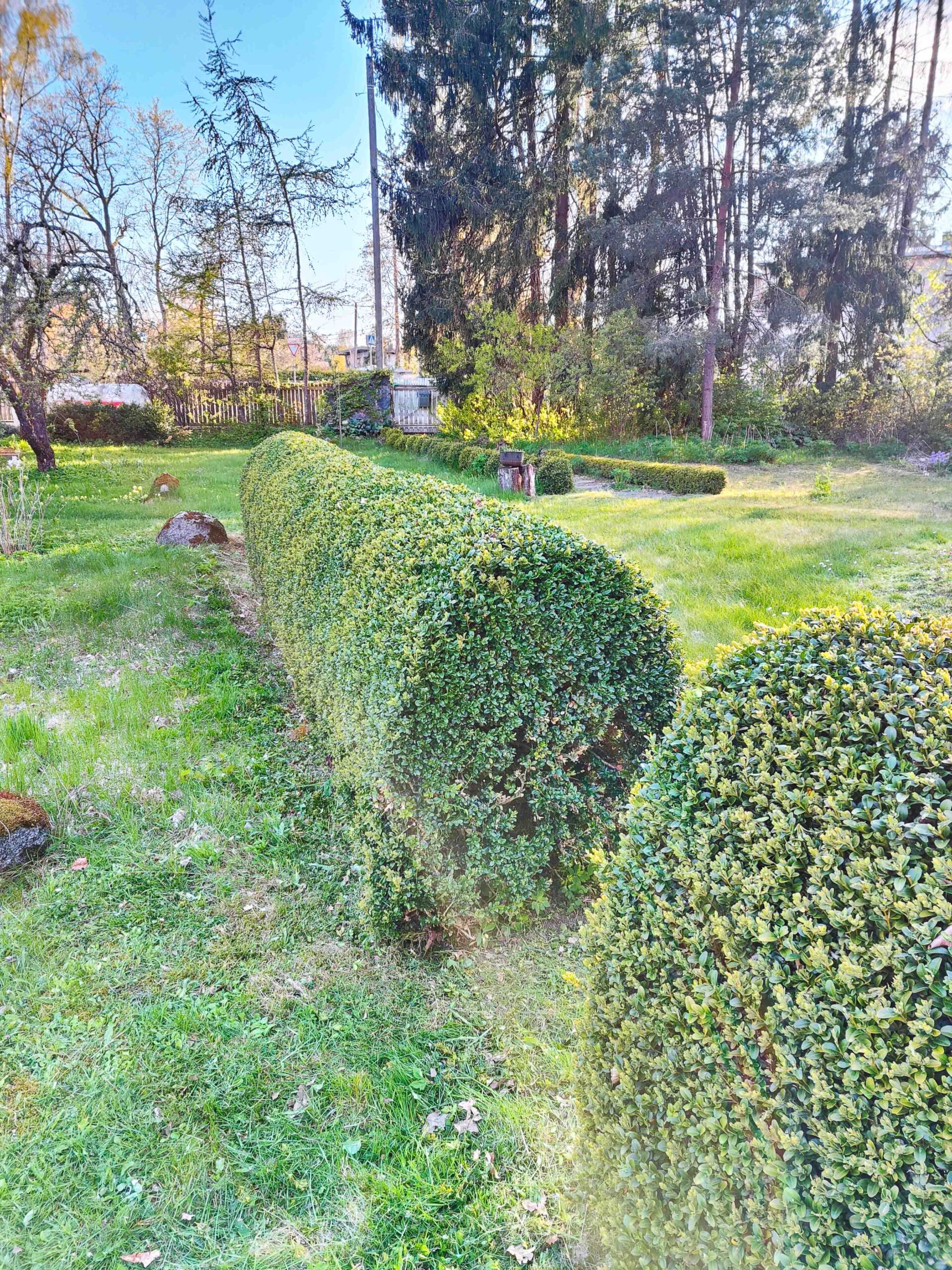 After image